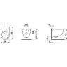 Унитаз LAUFEN PRO с глубоким смыванием, покрытие LCC 8.2096.6.400.000.1