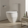 Унитаз напольный, комбинированный LAUFEN PRO (чаша) 8.2595.2.000.231.1